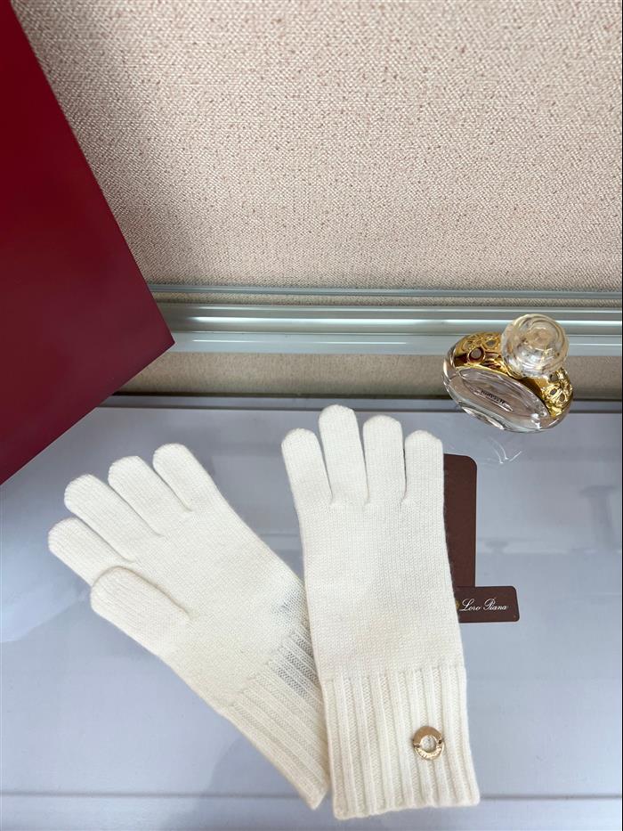 2026116112023751 100